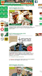 Mobile Screenshot of ogst.at